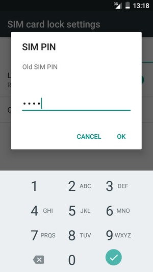 Enter your Old SIM PIN and select OK