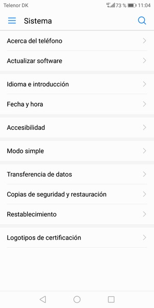 Desplácese y seleccione Actualizar software