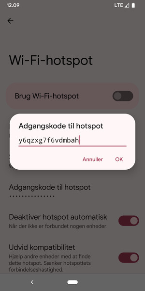 Indtast en Wi-Fi-hotspot adgangskode på minimum 8 tegn og vælg OK