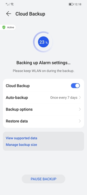 Wait for the backup to finish