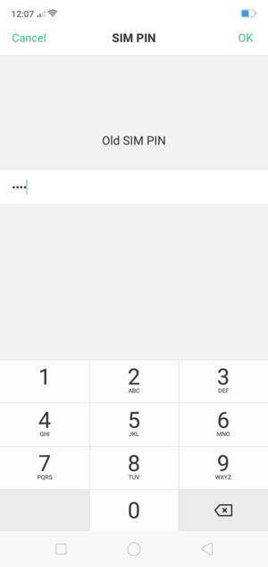 Enter your Old SIM PIN and select OK