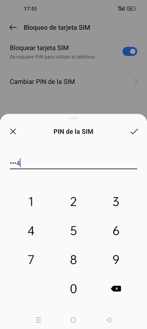 Introduzca PIN actual para esta tarjeta SIM y seleccione Aceptar