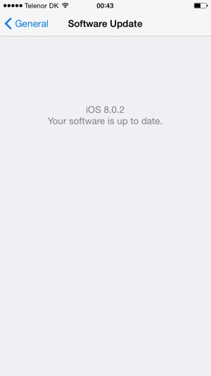 If your iPhone is up to date, you will see the following screen.