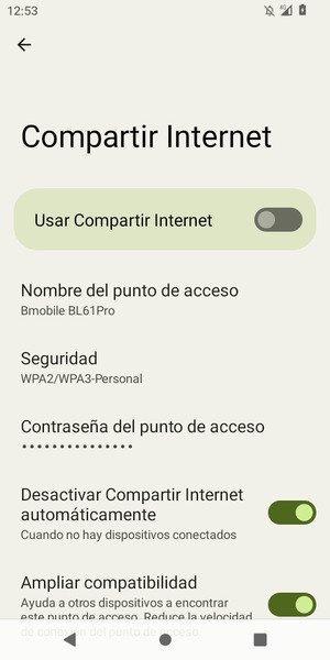 Seleccione Contraseña del punto de acceso