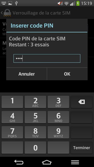 Saisissez votre Code PIN de la carte SIM actuel et sélectionnez OK