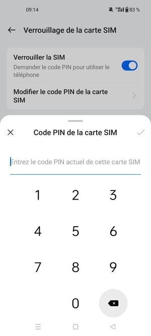 Saisissez votre Ancien code PIN de la carte SIM et sélectionnez OK
