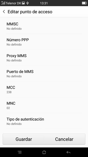Desplácese hacia abajo e introduzca la información MMS