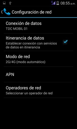Activar o desactivar Itinerancia de datos