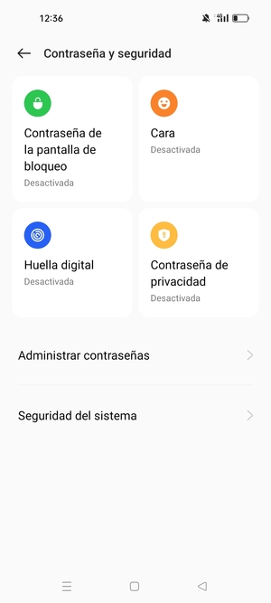 Seleccione Seguridad del sistema