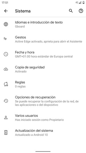 Seleccione Actualización del sistema