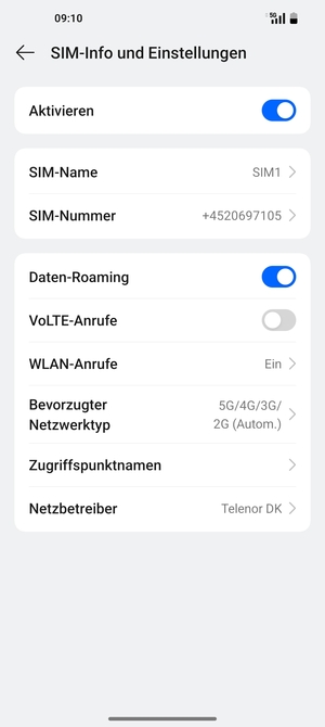 Schalten Sie Daten-Roaming an oder aus