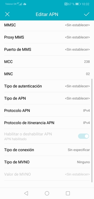 Desplácese hacia abajo e introduzca la información de Internet