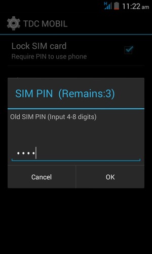 Enter your Old SIM PIN and select OK