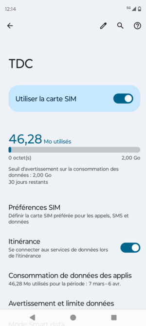 Activer ou désactiver Itinérance