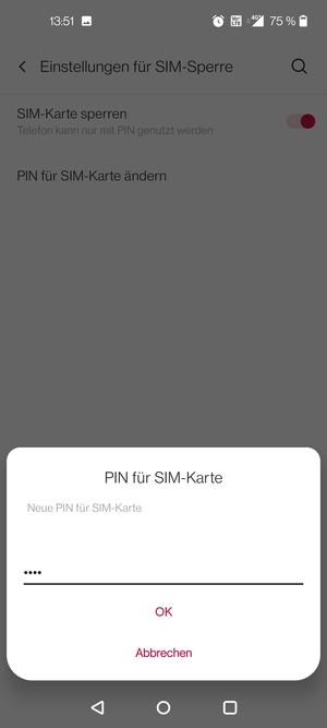 Geben Sie Ihre Neue PIN für SIM-Karte ein und wählen Sie OK