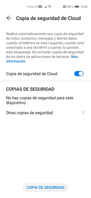 Seleccione COPIA DE SEGURIDAD