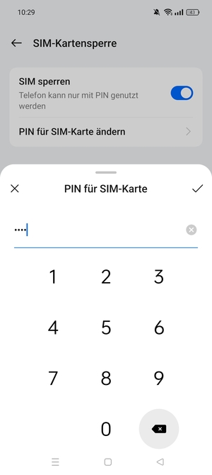 Geben Sie Aktuelle PIN für die SIM-Karte ein und wählen Sie OK