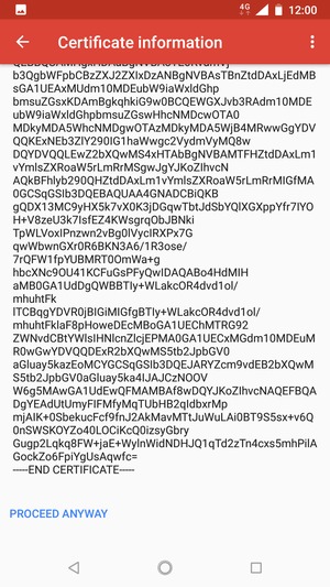 Scroll to and select PROCEED ANYWAY