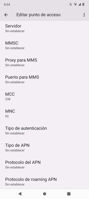 Desplácese hacia abajo e introduzca la información de Internet
