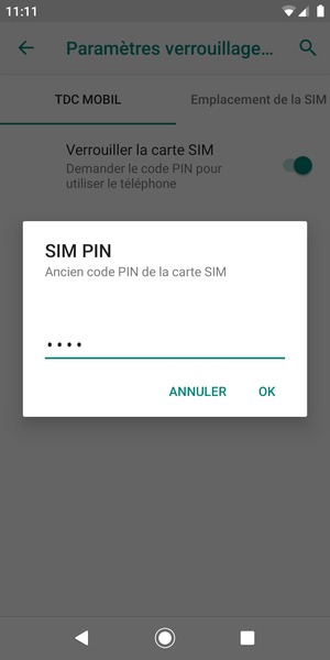 Saisissez votre Ancien code PIN de la carte SIM et sélectionnez OK