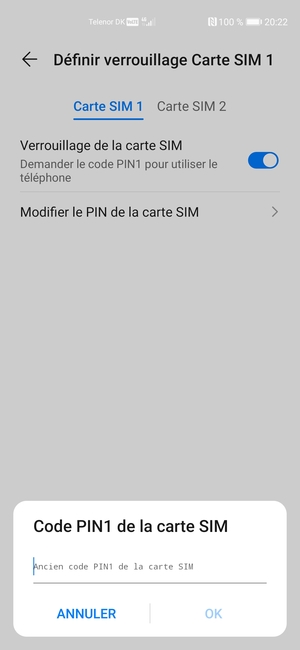 Saisissez votre Ancien code PIN de la carte SIM et sélectionnez OK