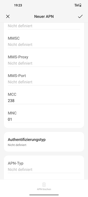 Scrollen Sie nach unten und geben Sie Internetinformationen ein