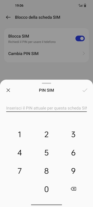 Inserisci PIN della SIM attuale e seleziona OK