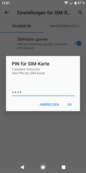 Geben Sie Ihre Alte PIN der SIM-Karte ein und wählen Sie OK