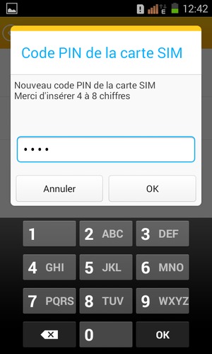 Saisissez votre Nouveau code PIN de la carte SIM et sélectionnez OK