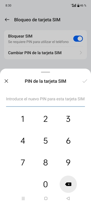 Introduzca su Nuevo PIN de tarjeta SIM y seleccione Aceptar