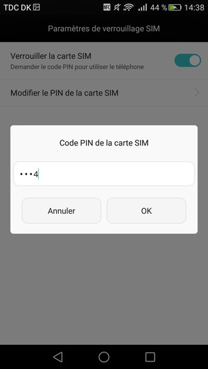 Saisissez votre Vieux PIN de la carte SIM et sélectionnez OK