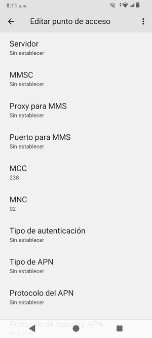 Desplácese hacia abajo e introduzca la información de Internet