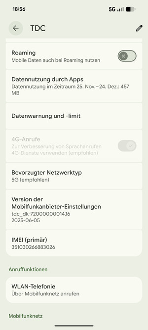 Scrollen Sie und wählen Sie Bevorzugter Netztyp