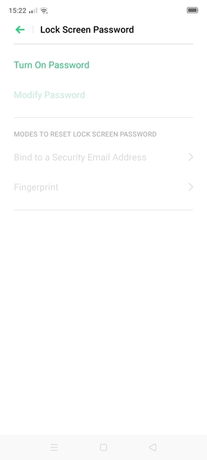 Select Turn On Password