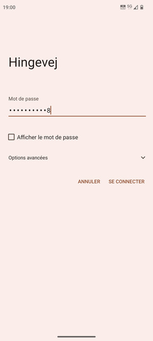 Saisissez le mot de passe du Wi-Fi et sélectionnez SE CONNECTER