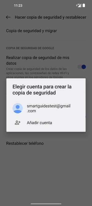 Seleccione su cuenta de copia de seguridad