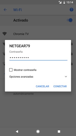 Introduzca la contraseña de Wi-Fi y seleccione CONECTAR