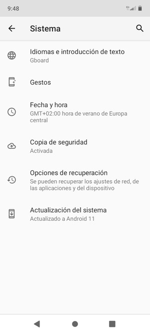 Seleccione Actualización del sistema