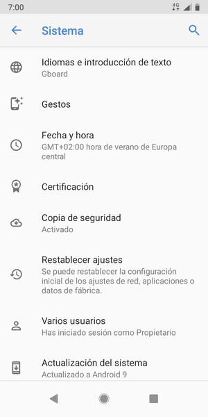 Seleccione Actualización del sistema